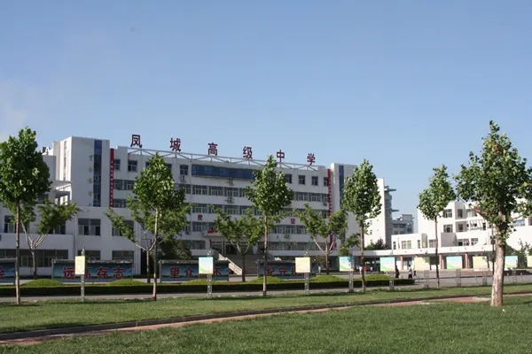 山東省萊蕪區(qū)風(fēng)城高級(jí)中學(xué)