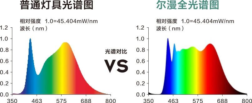 微信圖片_20240731145532.jpg